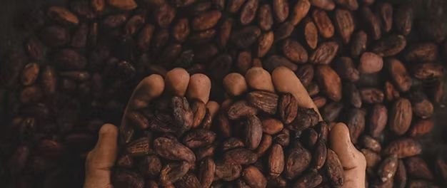 冻」东鹏2025三季度营收同比增长3036%一周热闻麻将胡了网址康师傅×疯狂动物城上新「冻冻茶冰红茶味果(图13) 冻」东鹏2025三季度营收同比增长3036%一周热闻麻将胡了网址康师傅×疯狂动物城上新「冻冻茶冰红茶味果(图13)