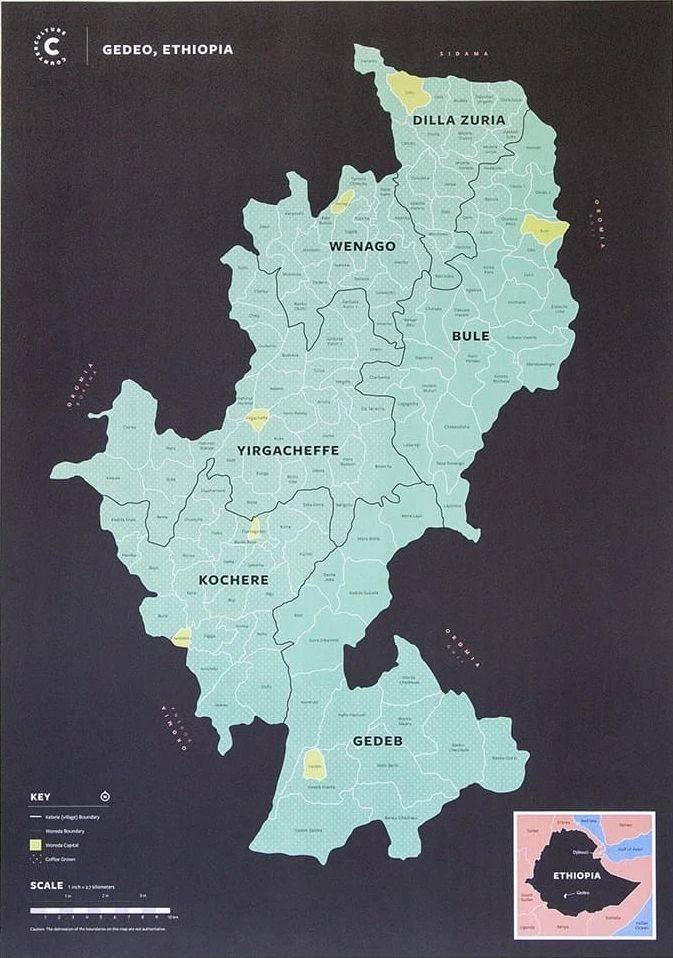 冲泡埃塞单品豆？适合新手入门的花果香浓郁的浅烘手冲咖啡豆有哪些推荐麻将胡了免费试玩埃塞俄比亚耶加雪菲与西达摩是同个咖啡产区吗？怎么(图7)