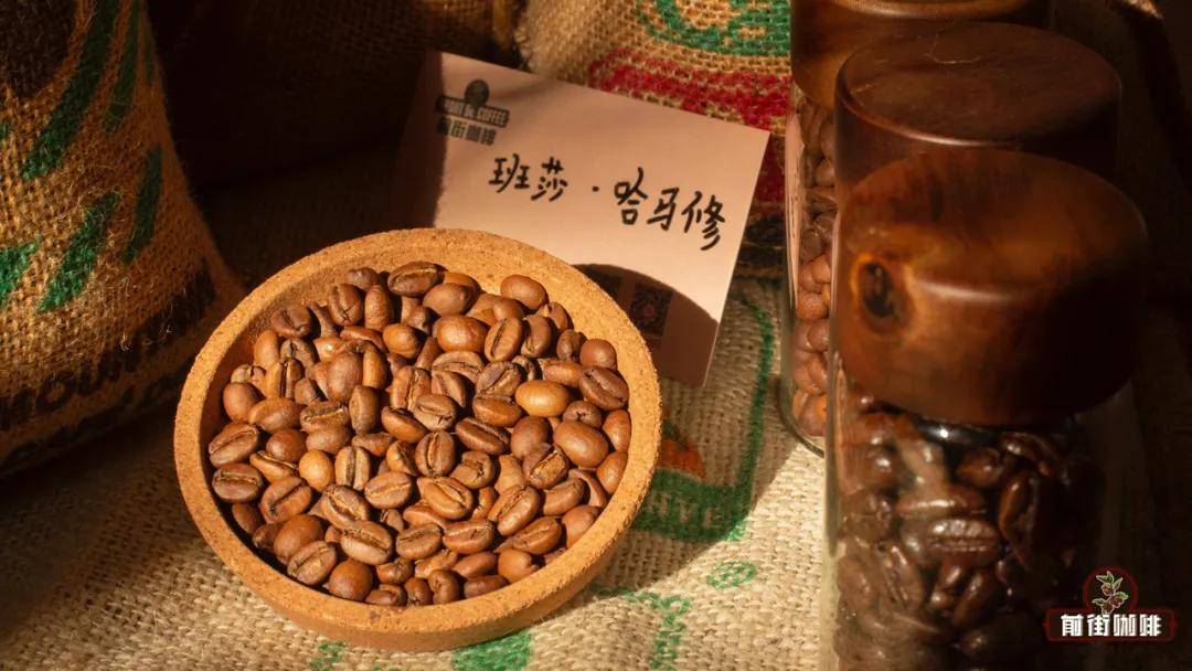 冲泡埃塞单品豆？适合新手入门的花果香浓郁的浅烘手冲咖啡豆有哪些推荐麻将胡了免费试玩埃塞俄比亚耶加雪菲与西达摩是同个咖啡产区吗？怎么(图8)
